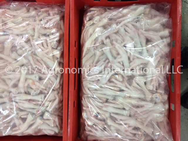 Chicken Feet Frozen Grade A - Export Packaging