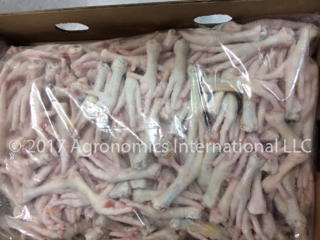 Chicken Feet Frozen Grade A - Export Packaging
